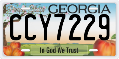 GA license plate CCY7229