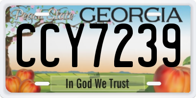 GA license plate CCY7239