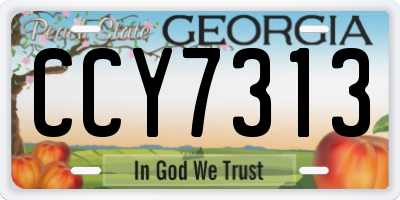 GA license plate CCY7313