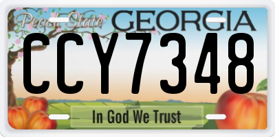 GA license plate CCY7348