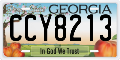 GA license plate CCY8213