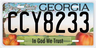 GA license plate CCY8233