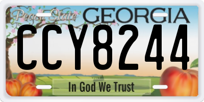 GA license plate CCY8244