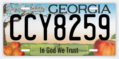 GA license plate CCY8259