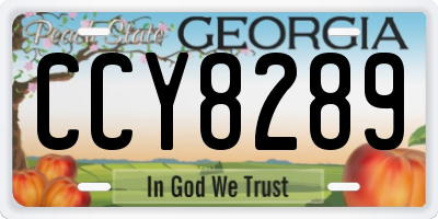GA license plate CCY8289