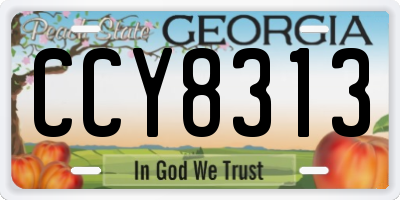 GA license plate CCY8313