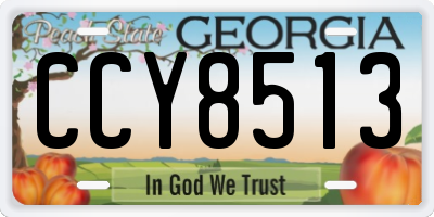 GA license plate CCY8513