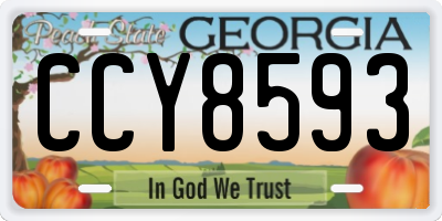 GA license plate CCY8593