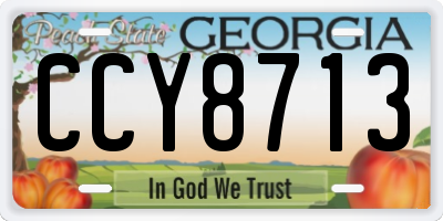 GA license plate CCY8713