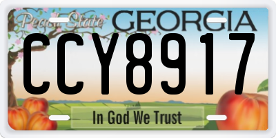 GA license plate CCY8917