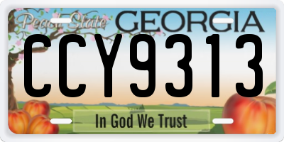GA license plate CCY9313