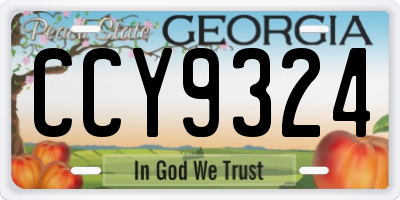 GA license plate CCY9324