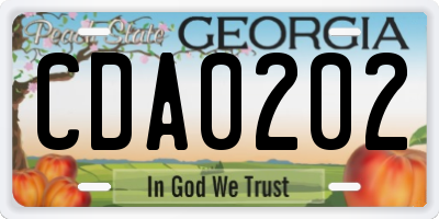 GA license plate CDA0202