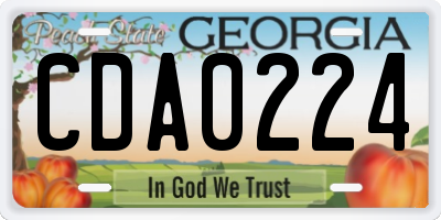 GA license plate CDA0224