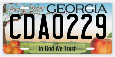 GA license plate CDA0229