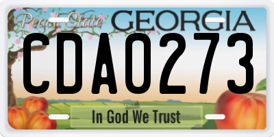 GA license plate CDA0273