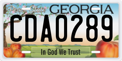 GA license plate CDA0289