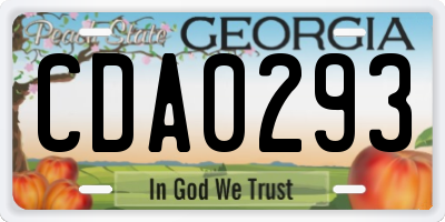 GA license plate CDA0293