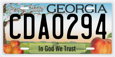 GA license plate CDA0294
