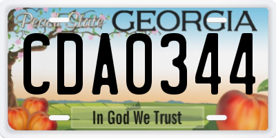GA license plate CDA0344