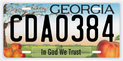 GA license plate CDA0384