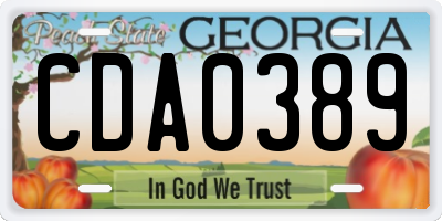 GA license plate CDA0389
