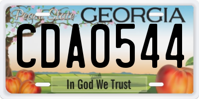 GA license plate CDA0544