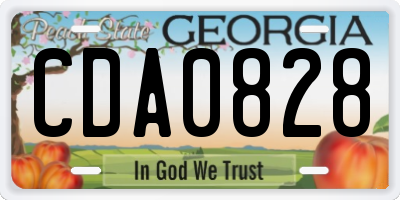 GA license plate CDA0828