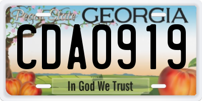 GA license plate CDA0919