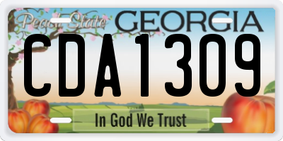 GA license plate CDA1309