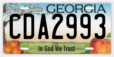 GA license plate CDA2993
