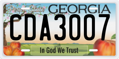 GA license plate CDA3007