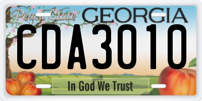 GA license plate CDA3010