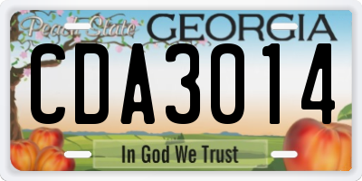 GA license plate CDA3014