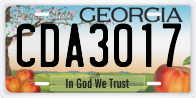 GA license plate CDA3017