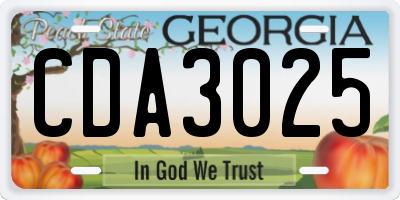 GA license plate CDA3025
