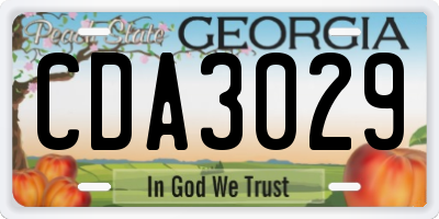 GA license plate CDA3029