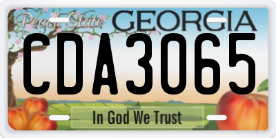GA license plate CDA3065