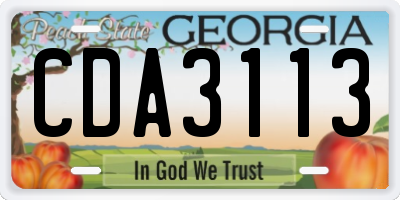 GA license plate CDA3113