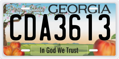 GA license plate CDA3613