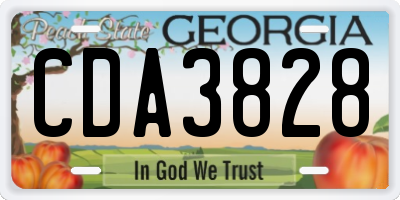 GA license plate CDA3828