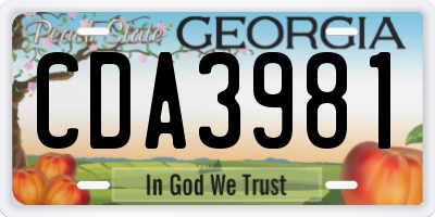 GA license plate CDA3981