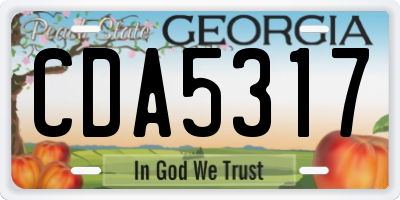 GA license plate CDA5317