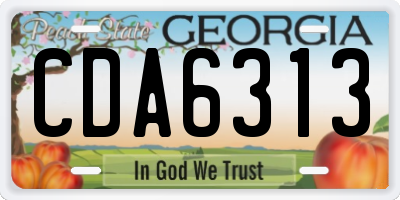 GA license plate CDA6313