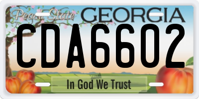 GA license plate CDA6602