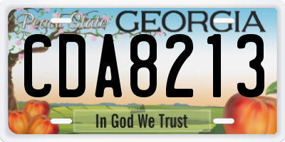 GA license plate CDA8213