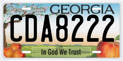 GA license plate CDA8222