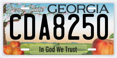 GA license plate CDA8250