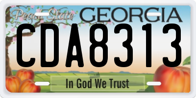 GA license plate CDA8313