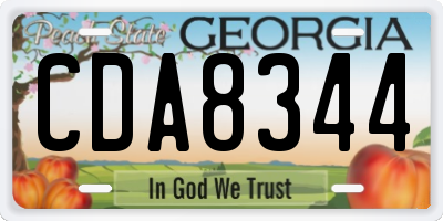 GA license plate CDA8344